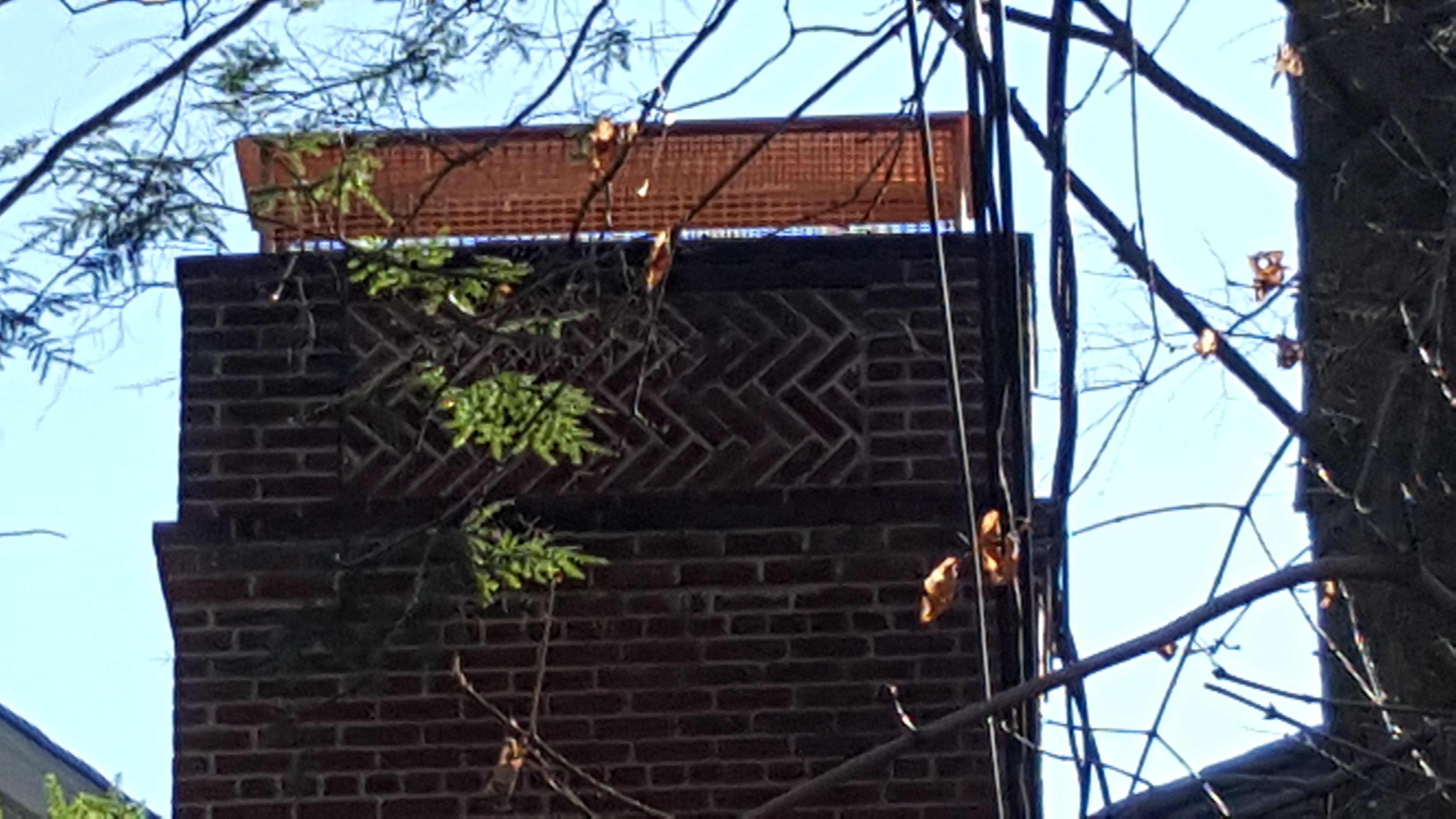 Animal-proof chimney cap protecting home in Brentwood, New York